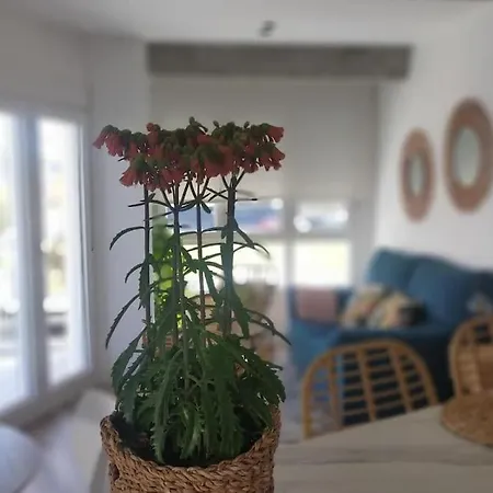 Apartmán Ospede Luscofusco Carballo-costa Da Morte